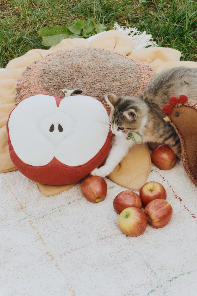 CUSHION APPLE - Image 3